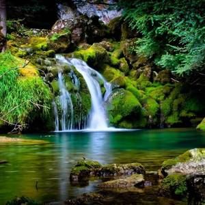 Meet your Posher, Thomas